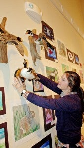 MESSENGER PHOTO/JAINE TREADWELL Kristy Drinkwater hangs art among the taxidermy in the Johnson Center for the Arts.