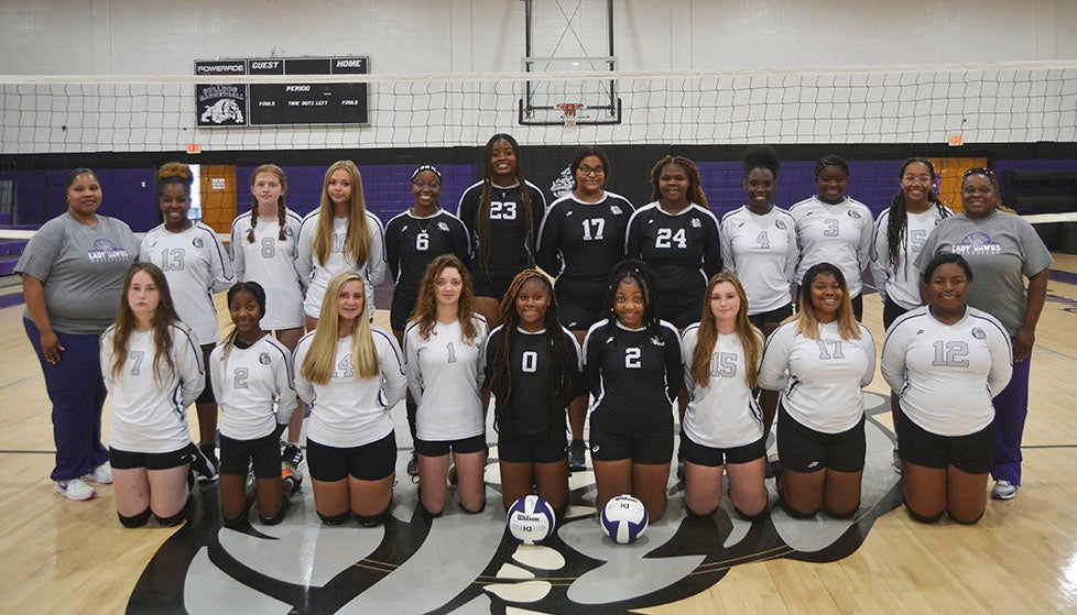 Lady Dawgs continue to build foundation of volleyball program - The